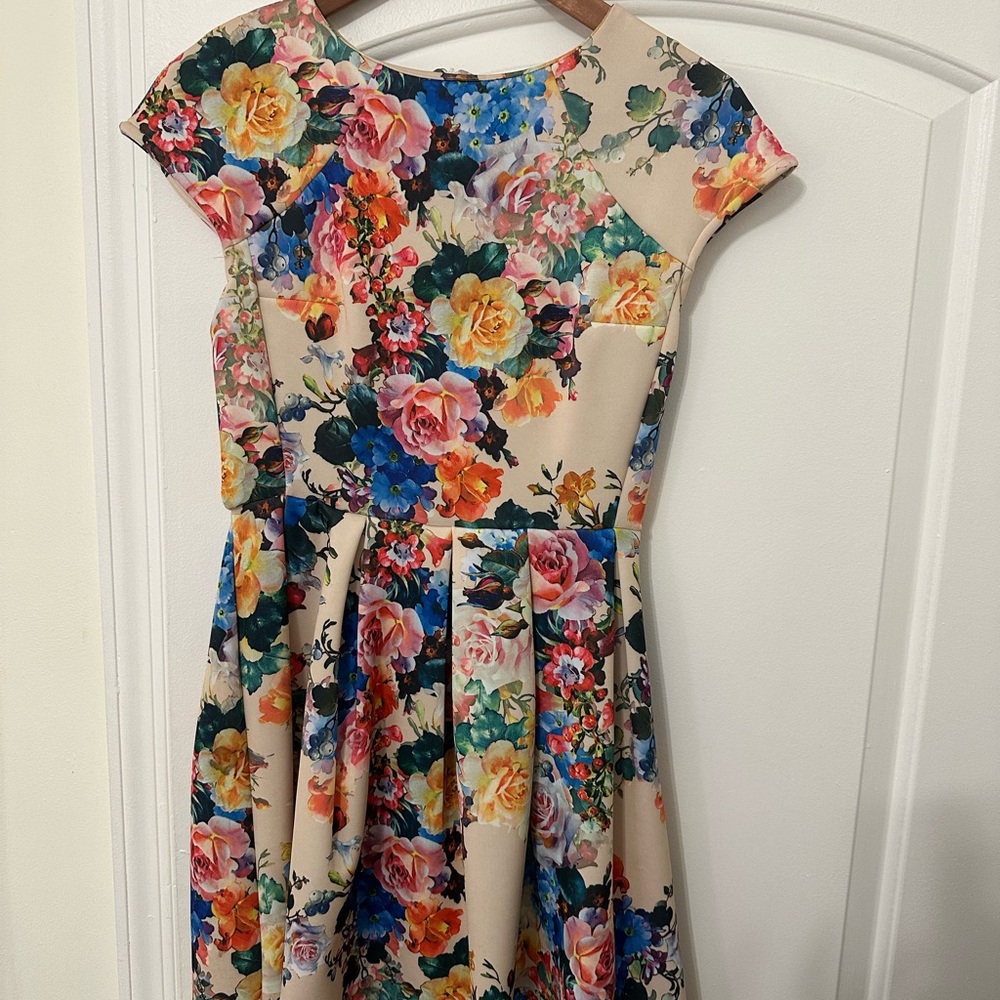 Cream Floral Fit & Flare Dress with Multicolor Roses